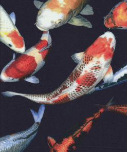 KOI KARPFEN Stoff Nr. 161005