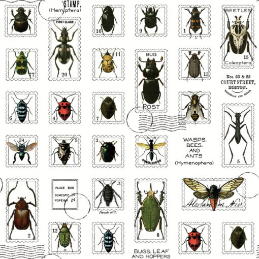 KÄFER Insekten Stoff Nr. 230306