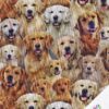 GOLDEN RETRIEVER "Best Friend" Patchworkstoff  Nr.  250105