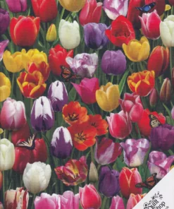 SPAR-SET "Tulpen, Frühling, Ostern" Stoffpaket Nr. 260206 – Bild 2