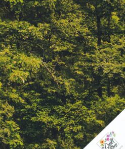 GRÜNER WALD Stoff  Nr. 260213