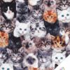 KATZEN Stoff Nr. 260505
